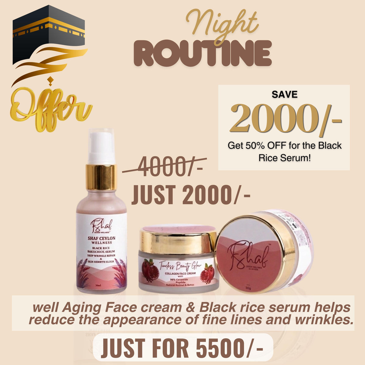 Special Offer